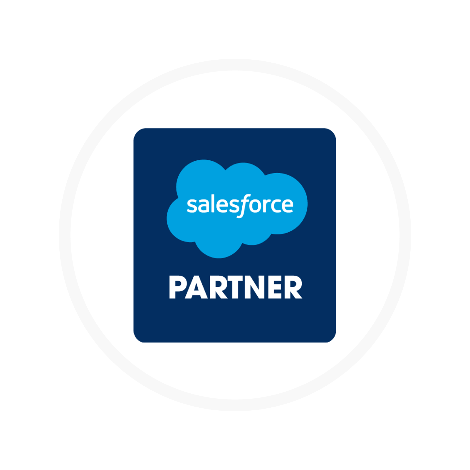 Salesforce Partner.