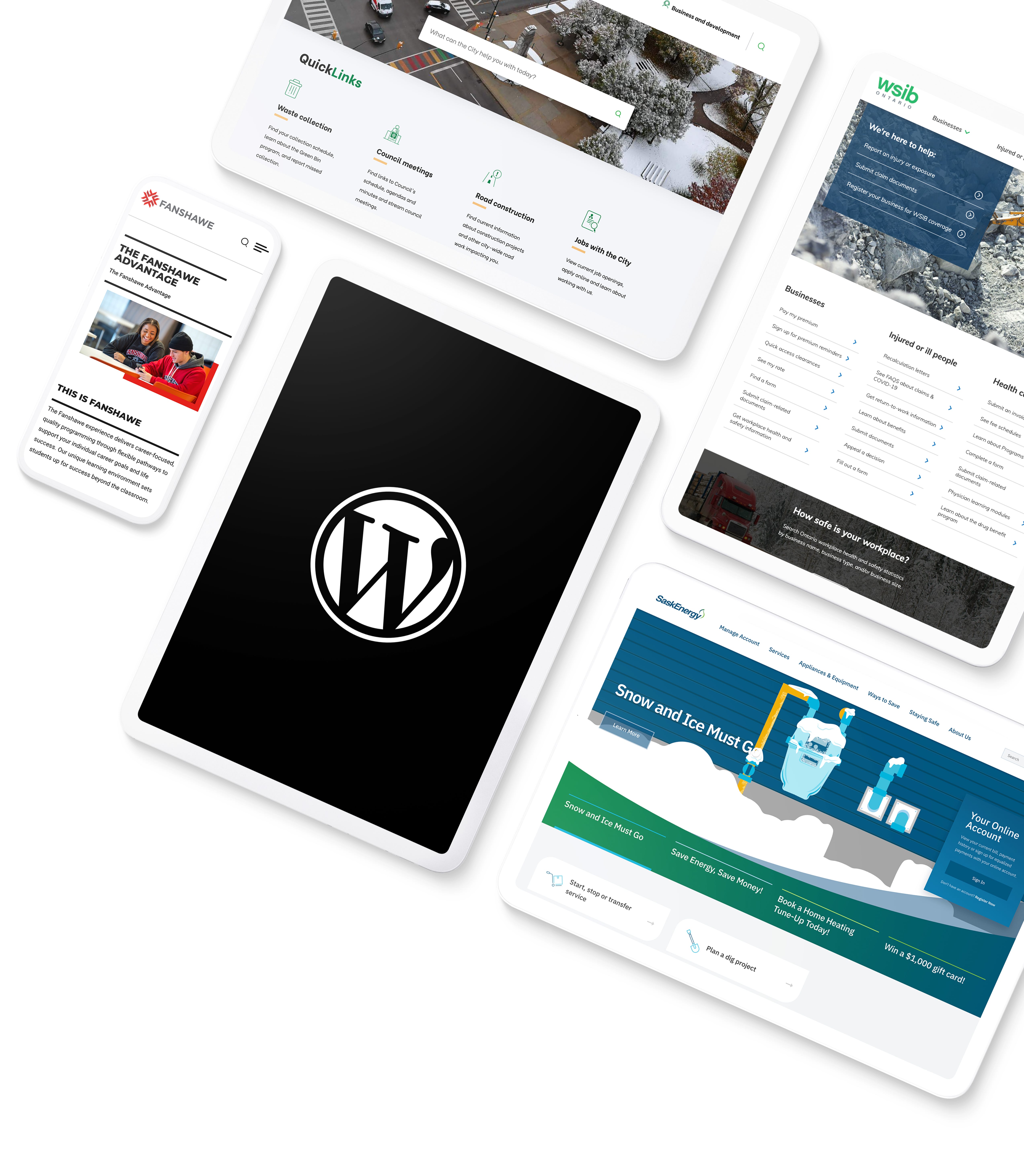 Examples of custom WordPress websites displayed on desktop, tablet, and mobile devices.