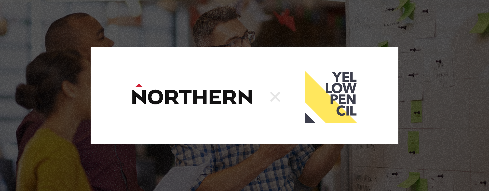 YP x Northern