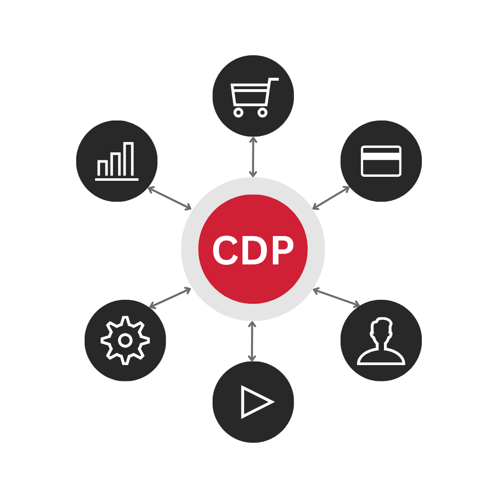 In-Depth CDP Strategy Assessments hero in colour CNP logo with shopping cart, credit card, settings, etc.. logos all pointing towards it