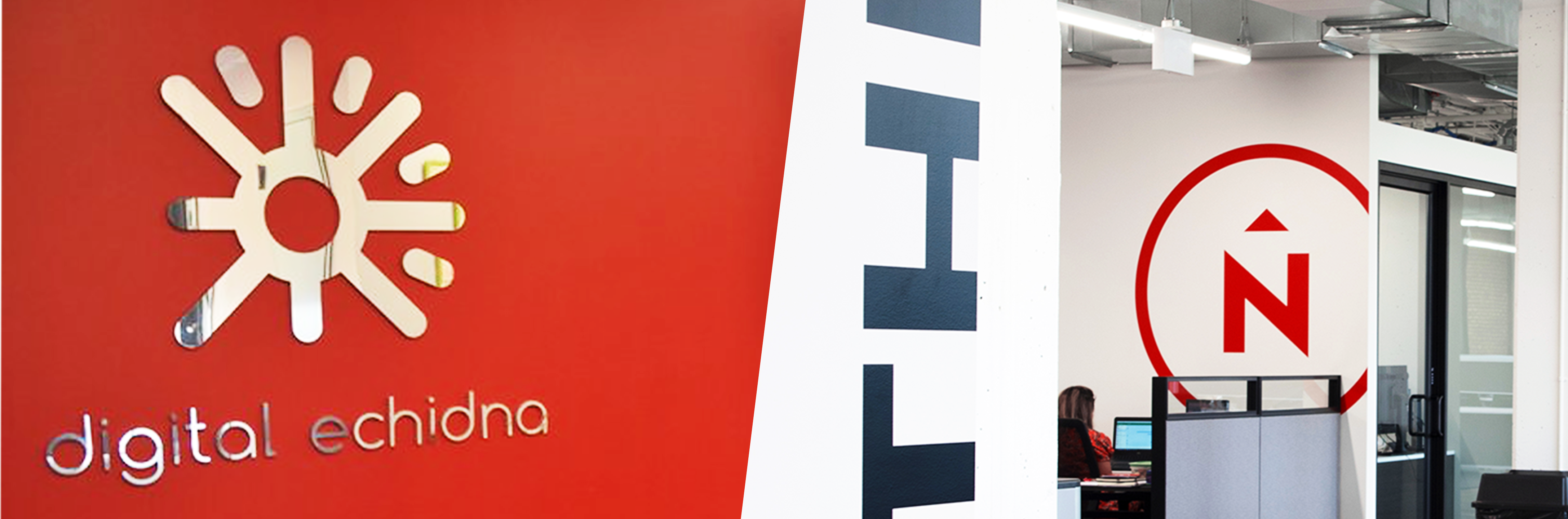 Digital Echidna and Northern logos in office