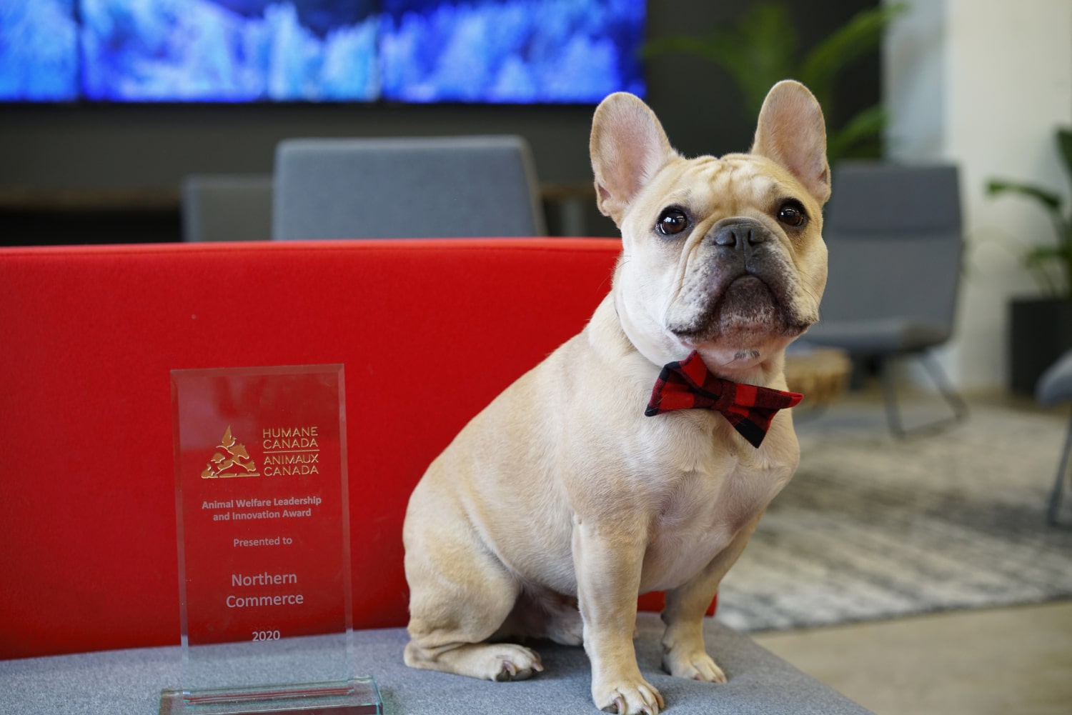Humane Canada Award