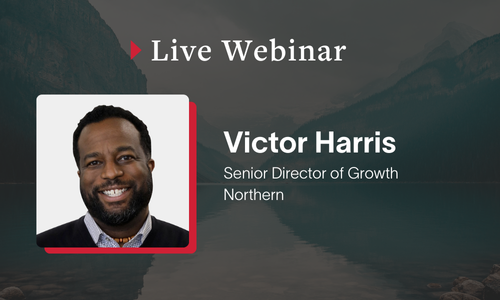 Public Service Webinar — Digital Transformation in the Labour Sector