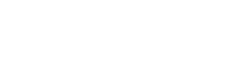 York Region - White Logo