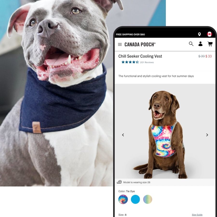 dog wearing scarf and a phone mockup displaying a product detail page