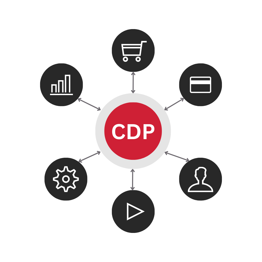 In-Depth CDP Strategy Assessments hero in colour CNP logo with shopping cart, credit card, settings, etc.. logos all pointing towards it