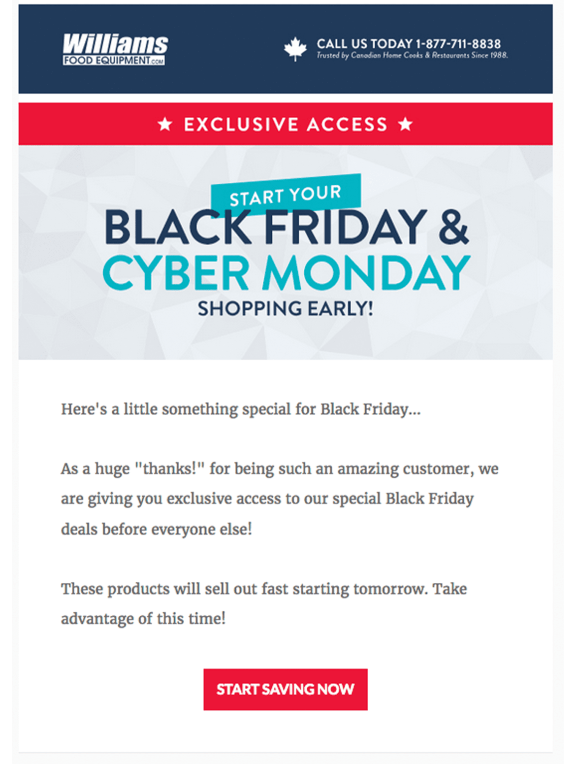 Black Friday and Cyber Monday email example