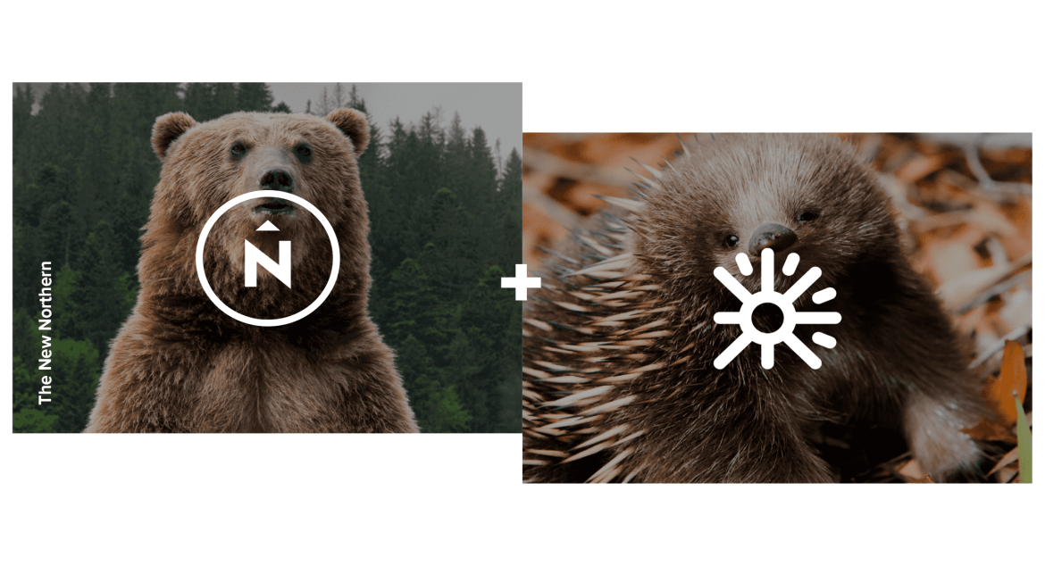 Northern + Echidna logos over a bear and an echidna