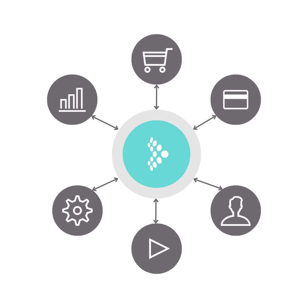 Tealium logo surrounded by shopping carts, cog, play button, and credit card logos