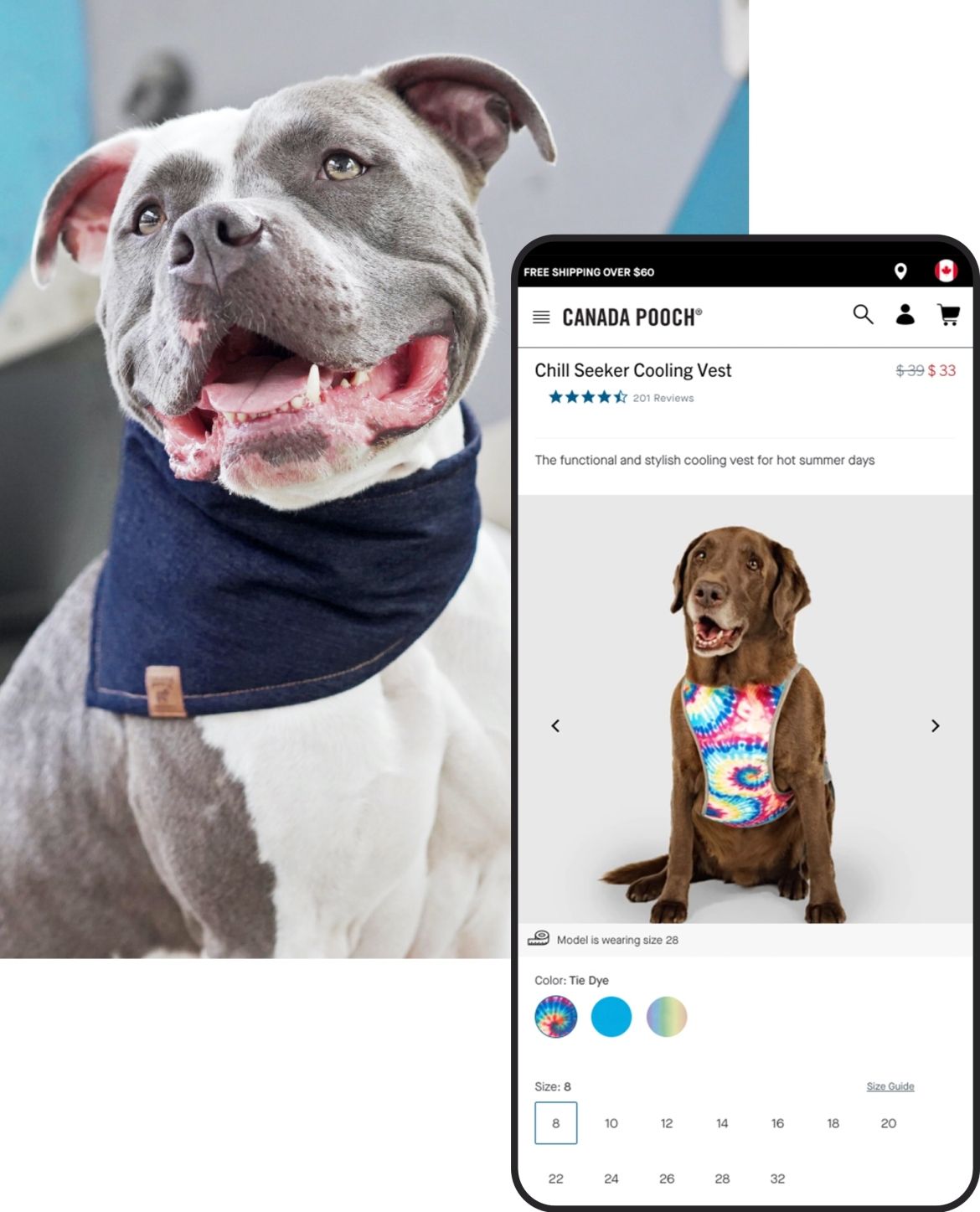 Canada Pooch how we did it image dog wearing scarf and a phone mockup displaying a product detail page
