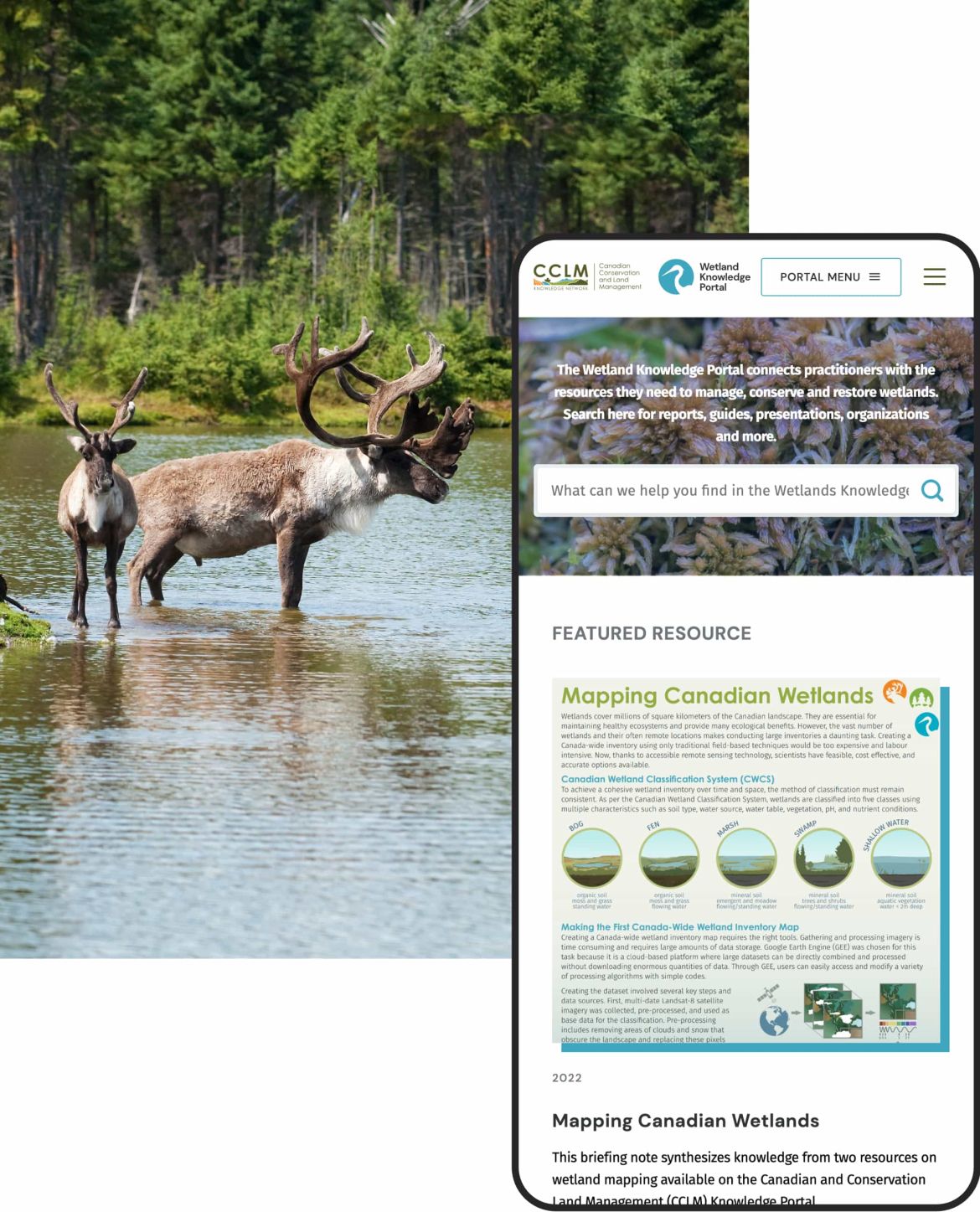 CCLM website preview.