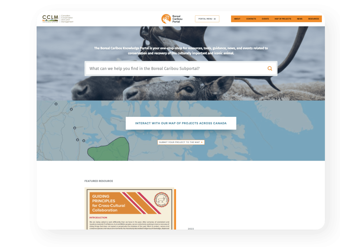 CCLM homepage preview.