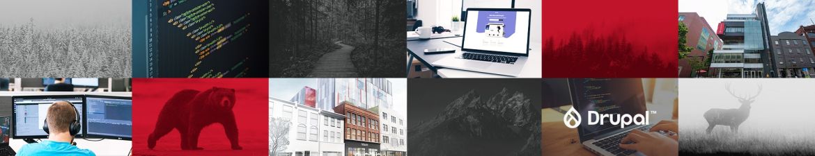 Northern Drupal banner