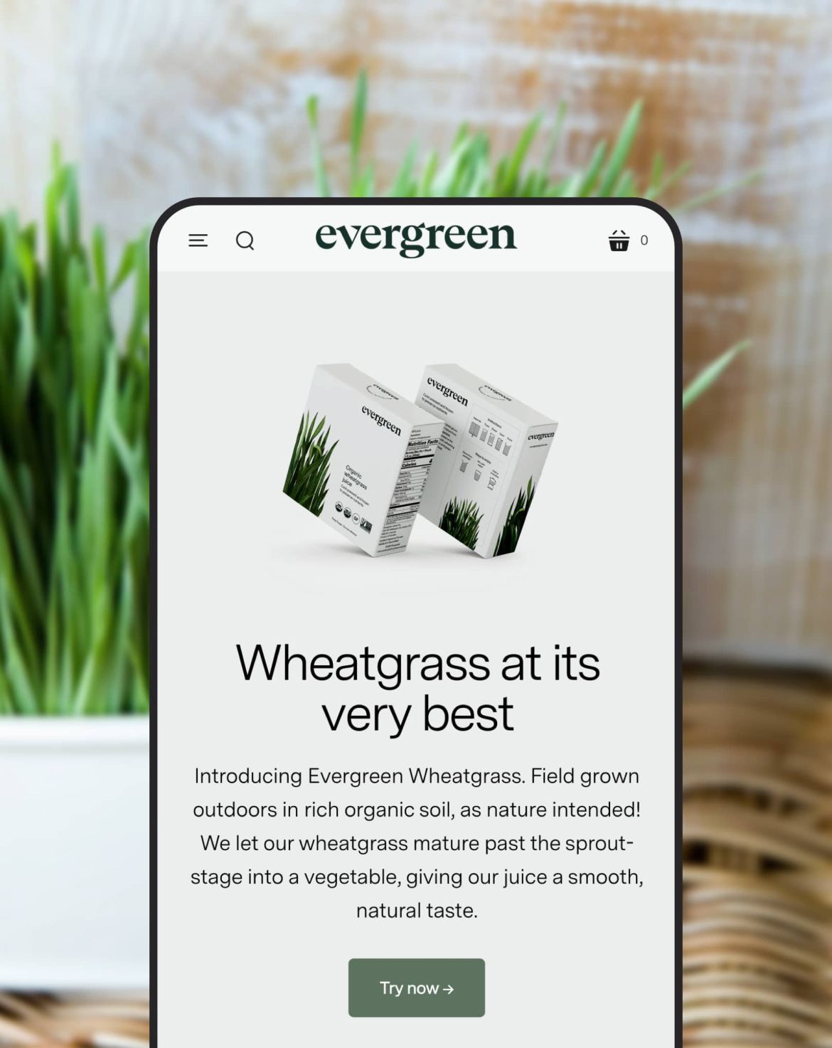 Image of cellphone with Evergreen Juices web content.