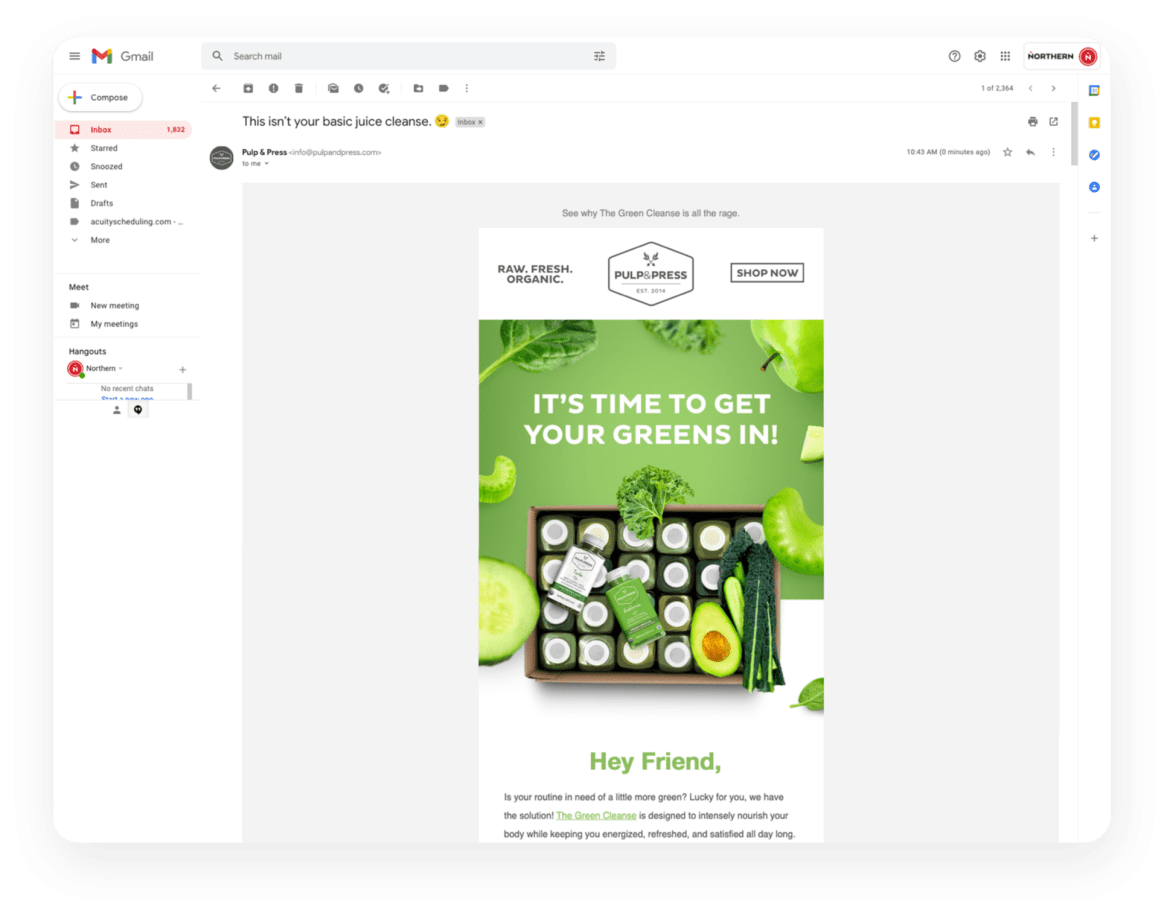 email preview in a customers inbox