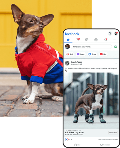 Canada Pooch Case Study