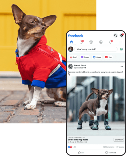 Canada Pooch Case Study