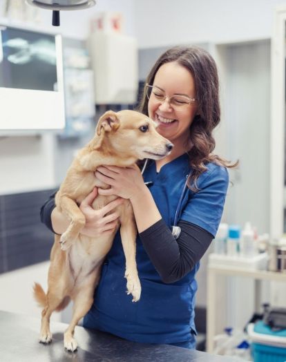 A smiling veterinarian in blue scrubs holds a small dog on an exam table at a clinic.