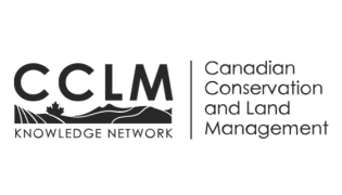 CCLM