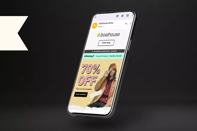 Klaviyo master elite.