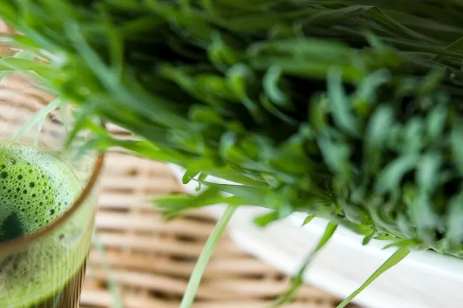 Glass of wheatgrass juice