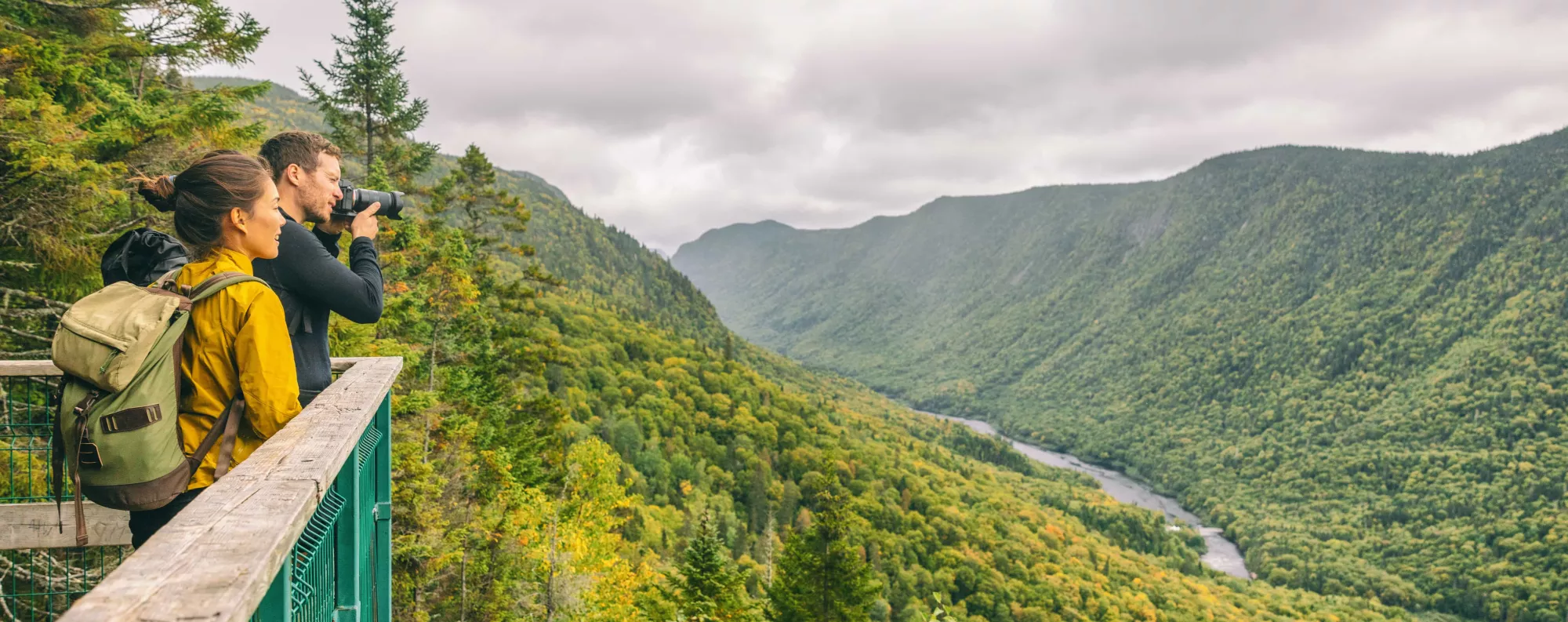 Two people admiring the view of the forest.