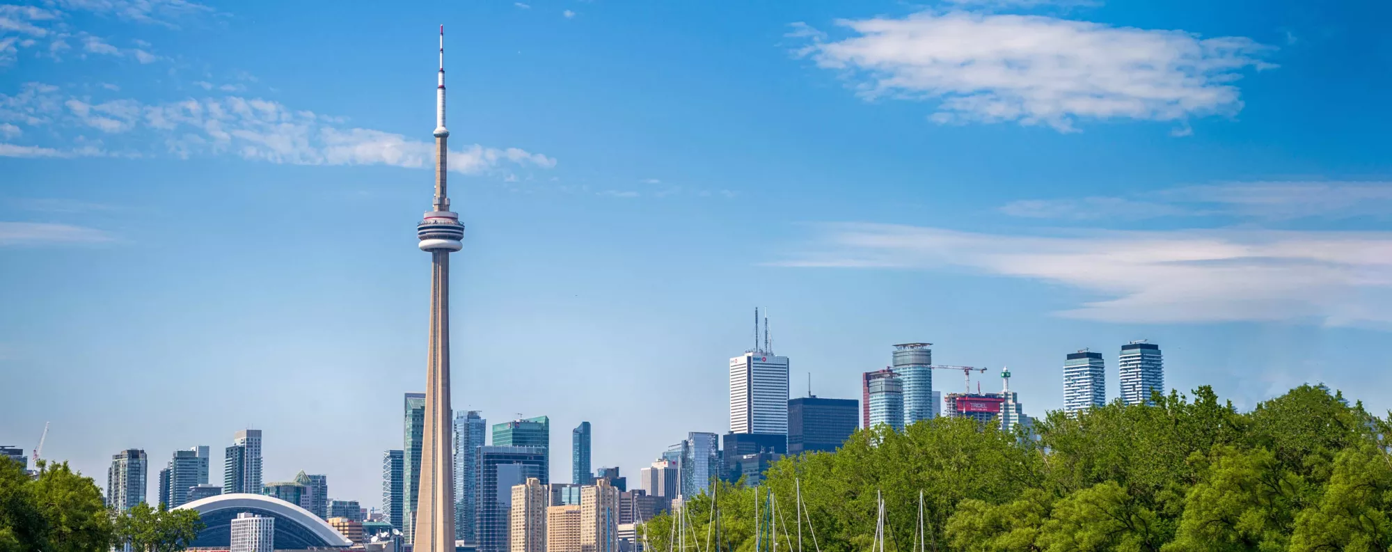 Image of the CN Tower on the Toronto horizon.