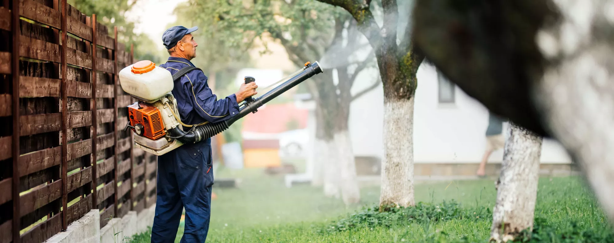 Gardener spraying trees