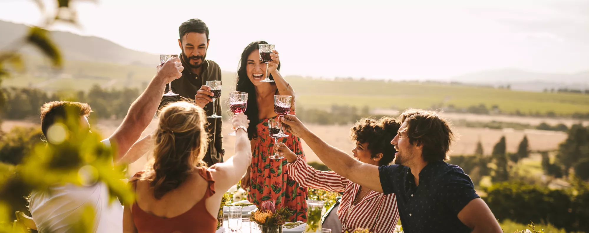 a group of people raising galsses of wine to cheers around a patio table