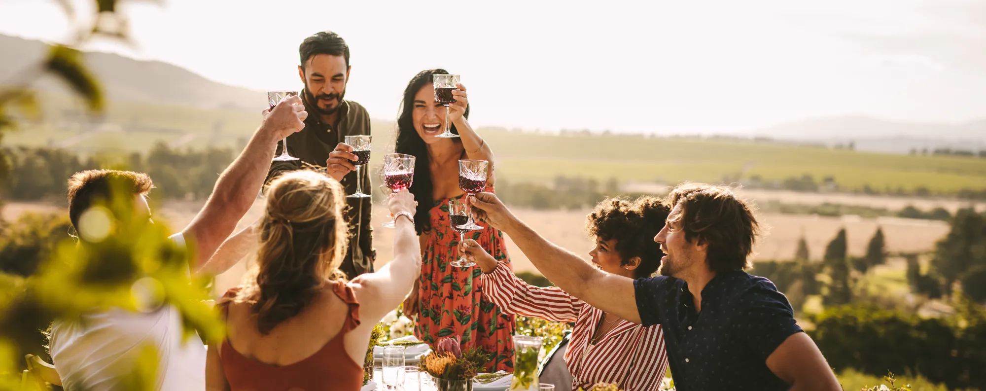 a group of people raising galsses of wine to cheers around a patio table