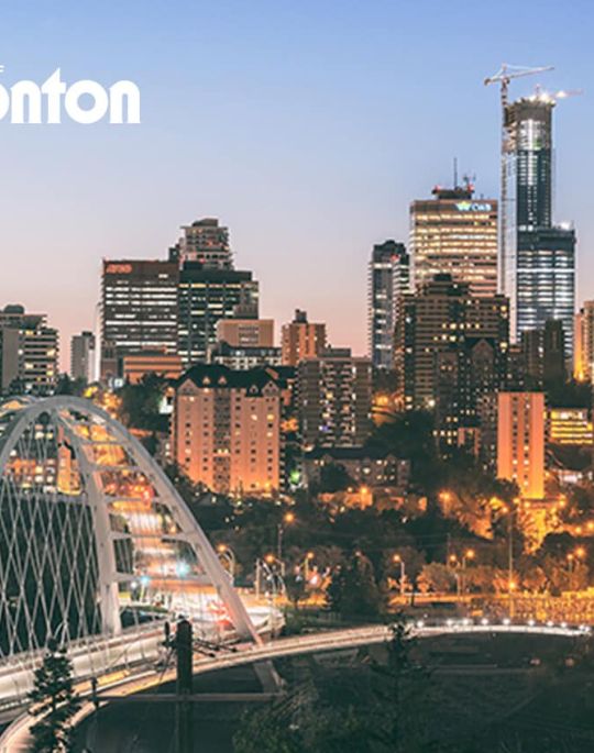 Case Study Preview Image