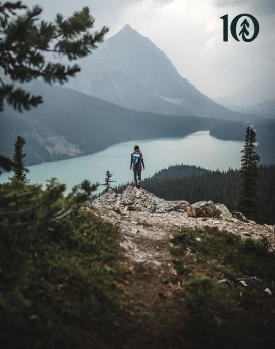 Girl in the forest looking at mountains